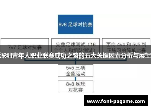 深圳青年人职业联赛成功之路的五大关键因素分析与展望